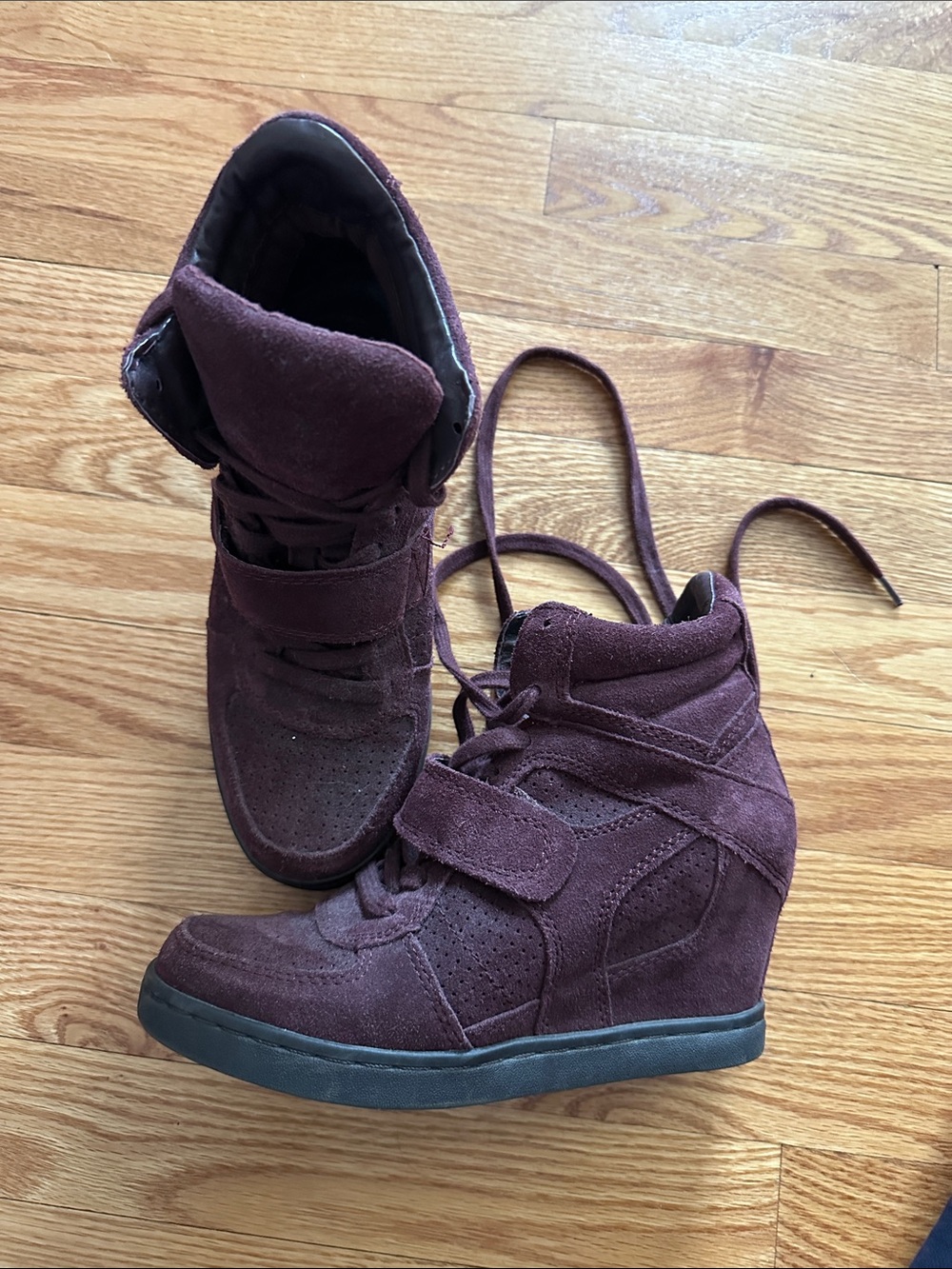 Ash Burgundy Suede Wedge Sneakers with Strap